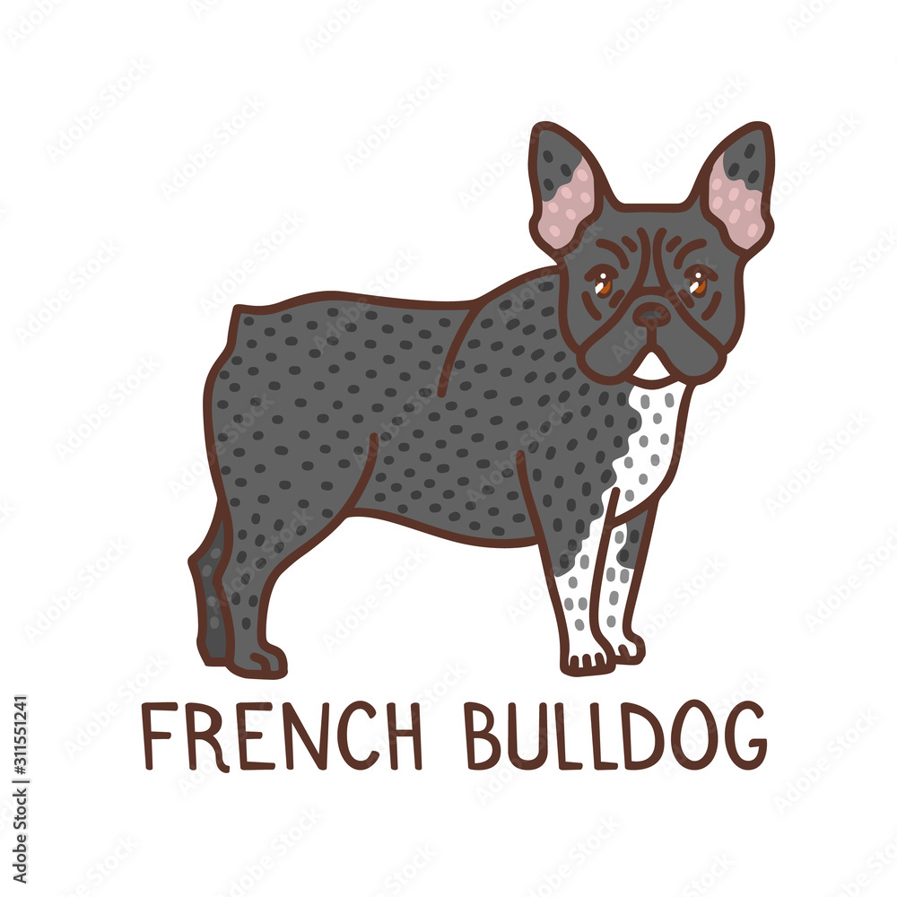 Obraz premium Isolated French Bulldog in Hand Drawn Doodle Style