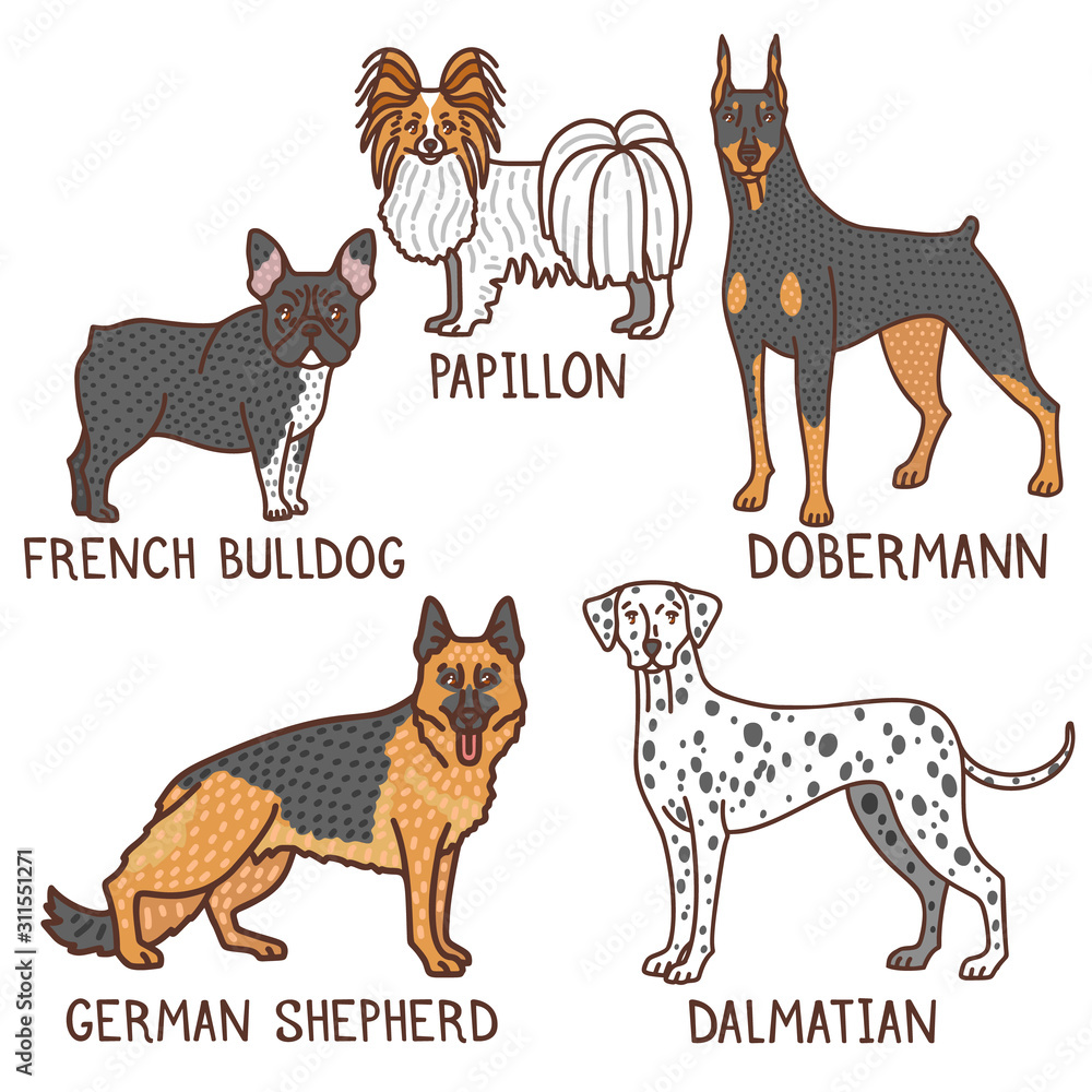 Obraz premium Isolated Dog Collection in Hand Drawn Doodle Style