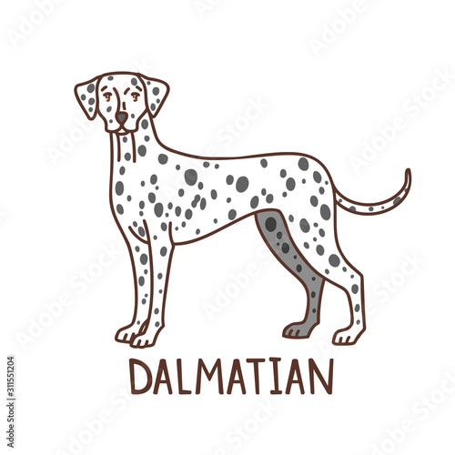 Isolated Dalmatian in Hand Drawn Doodle Style