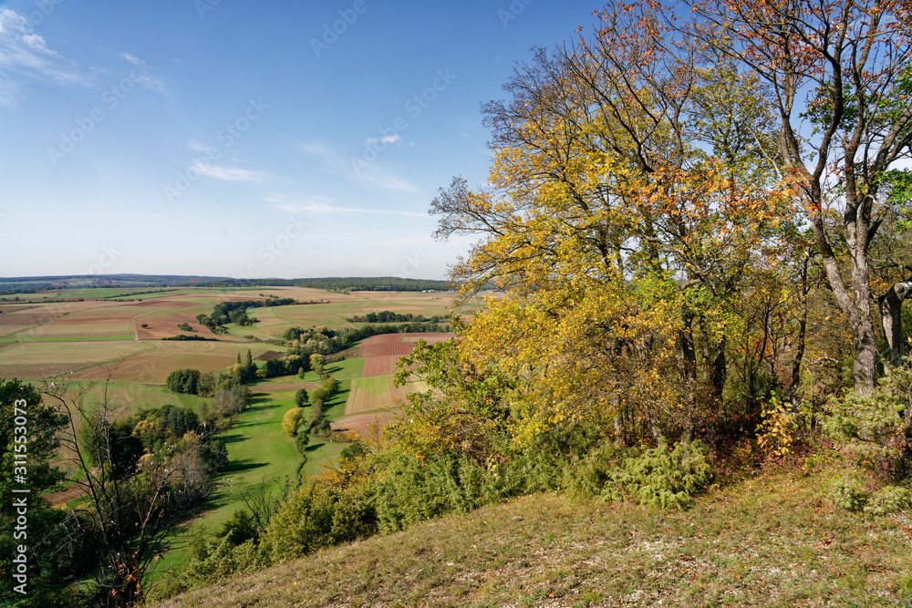 Naturschutzgebiet Ruine Homburg,Unterfranken, Franken, Bayern, Deutschland