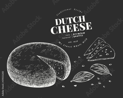 Dutch cheese illustration. Hand drawn vector dairy illustration on chalk board. Engraved style gouda head. Vintage food illustration.