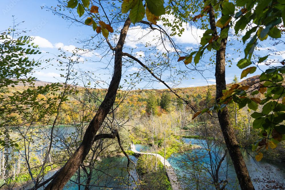Fototapeta premium Plitvice Lakes on a Sunny Day in Autumn