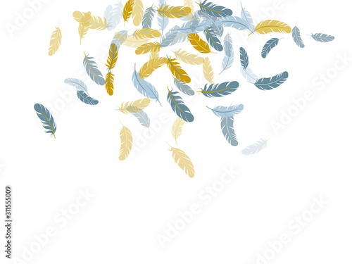 Detailed majestic feather on white design.