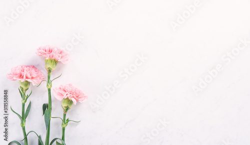 Beautiful, elegant pink carnation flower over bright white marble table background, concept of Mother's Day flower gift, top view, flat lay, overhead