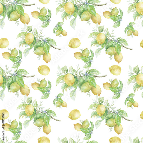 Fototapeta Naklejka Na Ścianę i Meble -  pattern seamless print textile lemons on a branch fruit citrus nature leaves watercolor hand-drawn separately on a white background exotic tropics