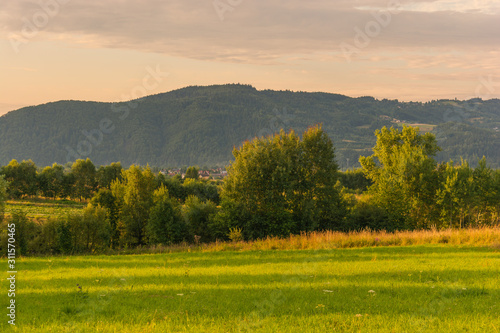 Fototapeta Naklejka Na Ścianę i Meble -  Letni krajobraz Beskidów