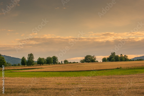 Fototapeta Naklejka Na Ścianę i Meble -  Letnie Beskidy