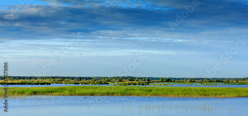 landscape with lake and blue sky © Dmitrii