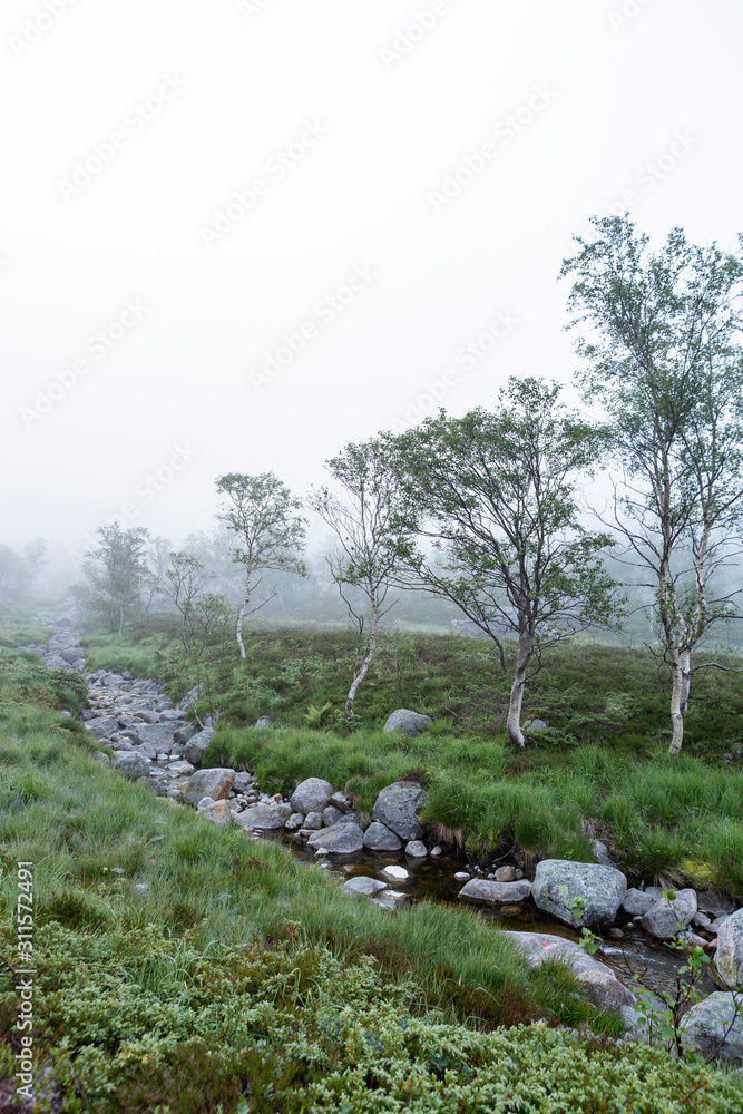 Fototapeta premium Moorlandschaft im Nebel, Norwegen