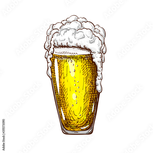 vector hand drawn tall beer glass full of wheat beer with foam. Beautiful vintage beer mug or pilsner with dropping froth isolated on grunge textured background. Alcoholic yellow beverage in glassware