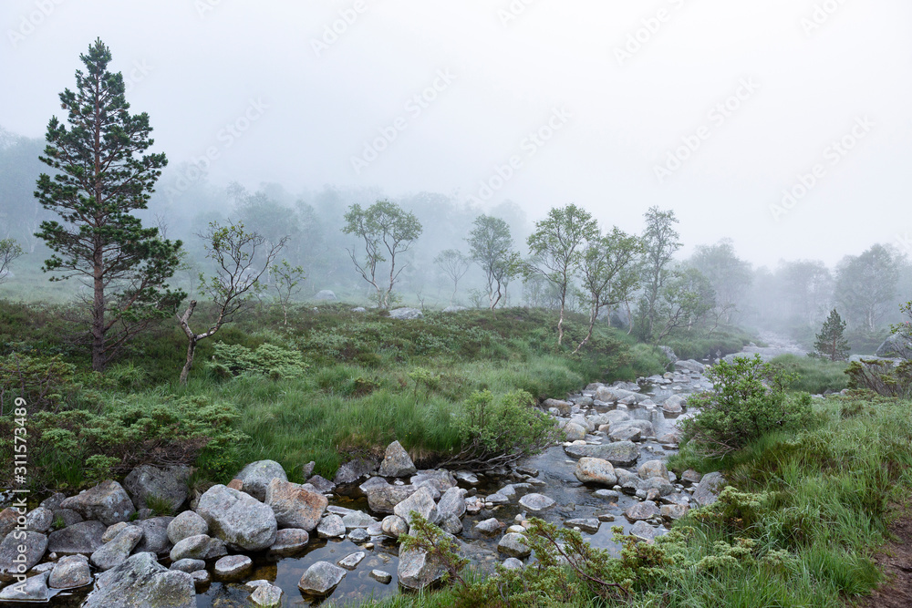 Moorlandschaft im Nebel, Norwegen