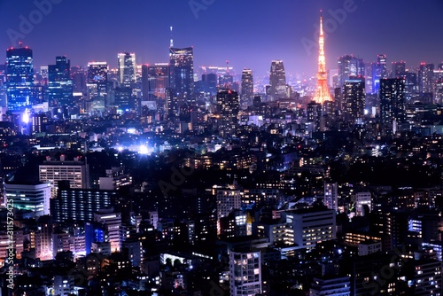 東京の夜景 © Goryu