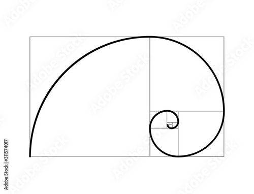 Golden ratio vector proportion spiral section. Fibonacci golden ratio geometry
