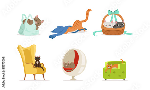 Different Domestic Cats Hiding and Resting in Various Places Vector Set