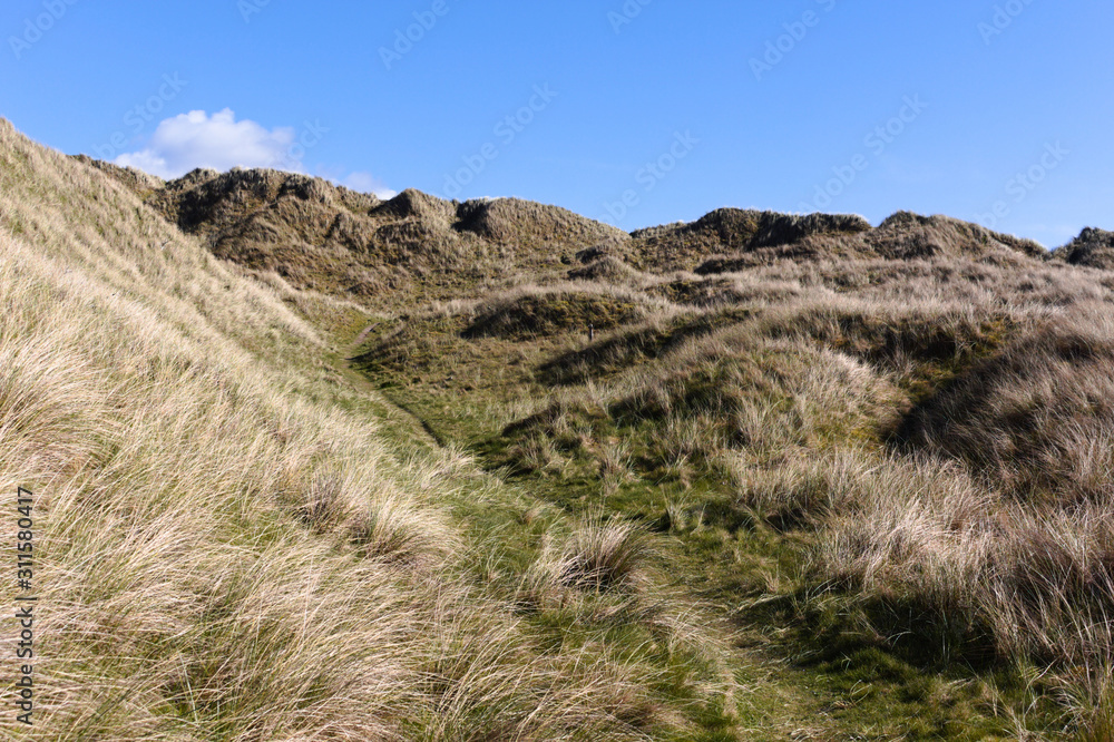 Dunnet Bay - grassy dunes - I - Caithness- Scotland Dunnet Bay - grassy dunes - I - Caithness- Scotland