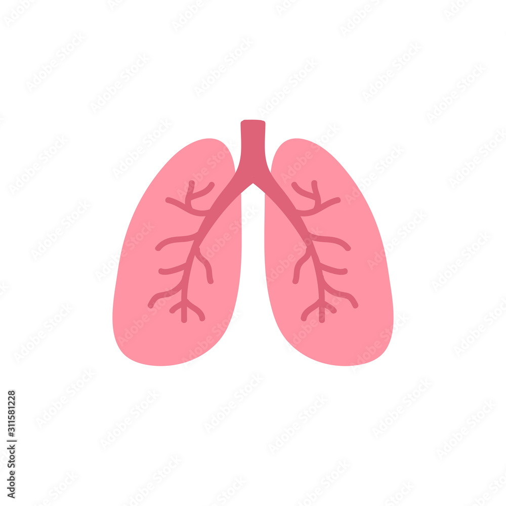 lungs doodle icon, vector illustration lungs doodle icon, vector illustration