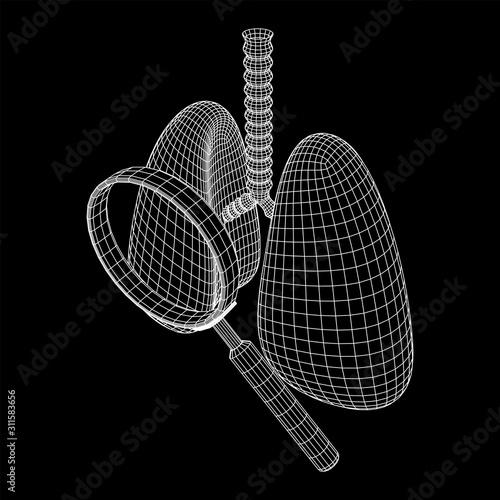 Lungs with trachea bronchi internal organ human with magnifying glass. Pulmonology medicine science analysis concept. Wireframe low poly mesh vector illustration