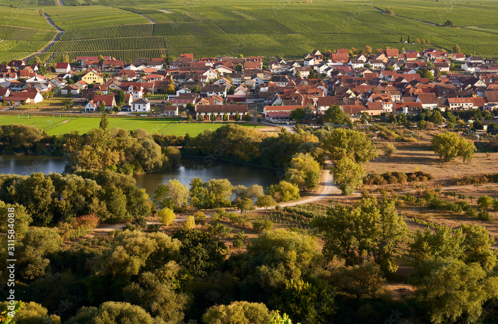 Weinberge an der Volkacher Mainschleife, Unterfanken, Bayern, Deutschland