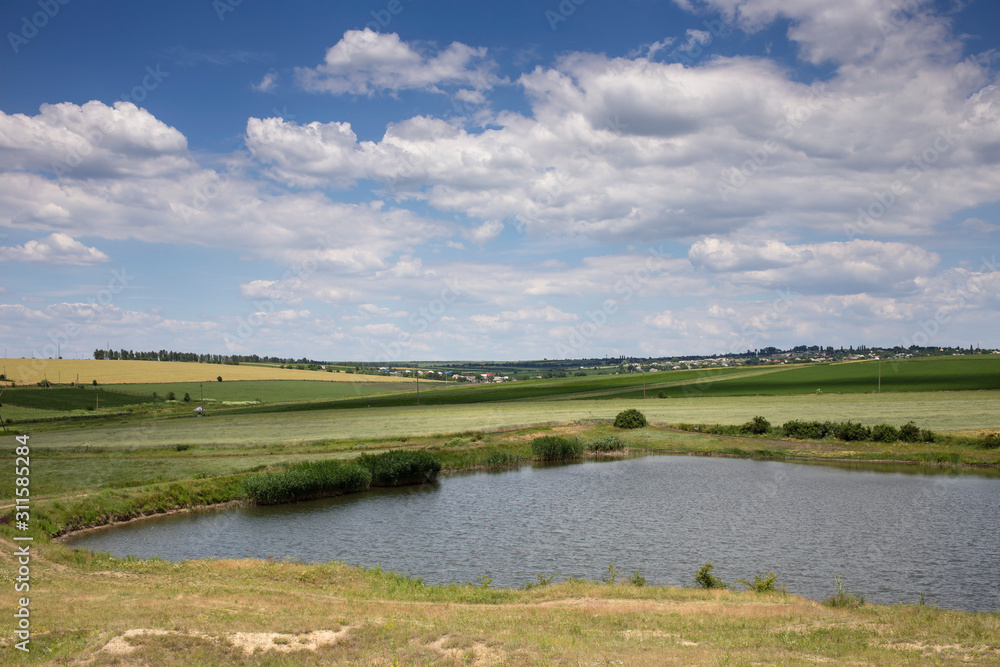 Obraz premium Summer beautiful landscape.