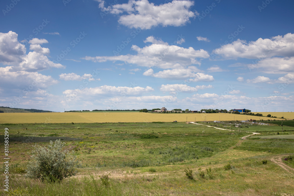 Summer beautiful landscape.