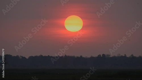 Shot of beautiful big sunrise, sun risinging with flock of birds photo