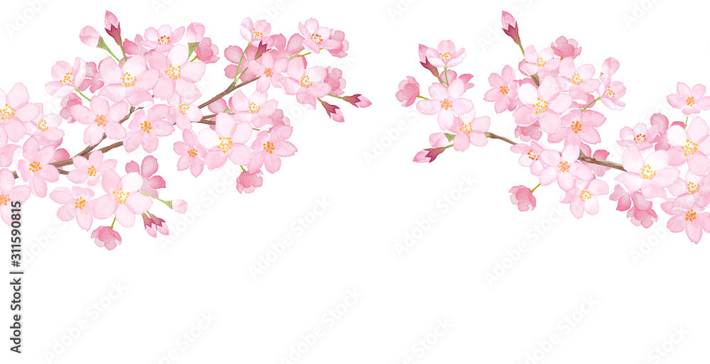 春の花 さくらのアーチ型フレーム 水彩イラスト Stock イラスト Adobe Stock