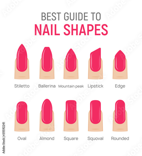 Nail shapes manicure vector art. Fingernail shape french form design fashion salon photo