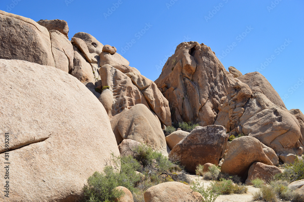 Extraordinary stone formations and yucca in nature in the Joshua tree National park, California Extraordinary stone formations and yucca in nature in the Joshua tree National park, California