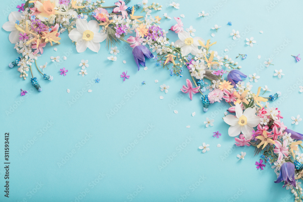 Fototapeta spring flowers on paper background