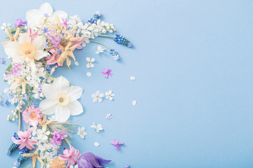 spring flowers on paper background