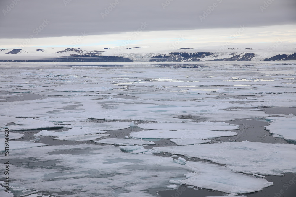 Arctic sea ice around Spitsbergen, Svalbard Arctic sea ice around Spitsbergen, Svalbard