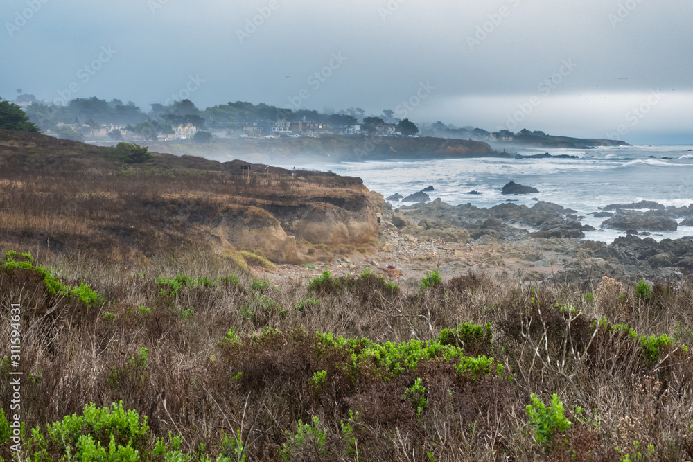 The view from the Moonstone Beach Boardwalk in Cambria, California includes native coastal brush and scrub plants, hillside bluffs and rocky Pacific Coast shores with access to tidepools.  