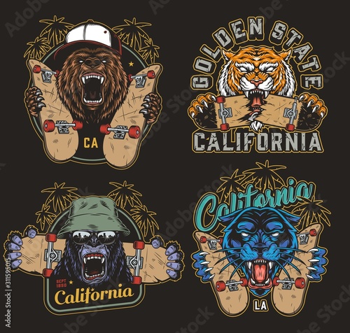 Colorful skateboarding vintage logos