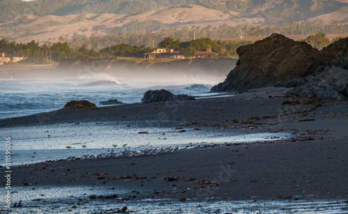 Early morning along the Pacific Coast of California at Leffingwell Landing State Park, looking toward the hills of San Simeon, not far from the Hearst Castle, a famous tourist attraction.   photo
