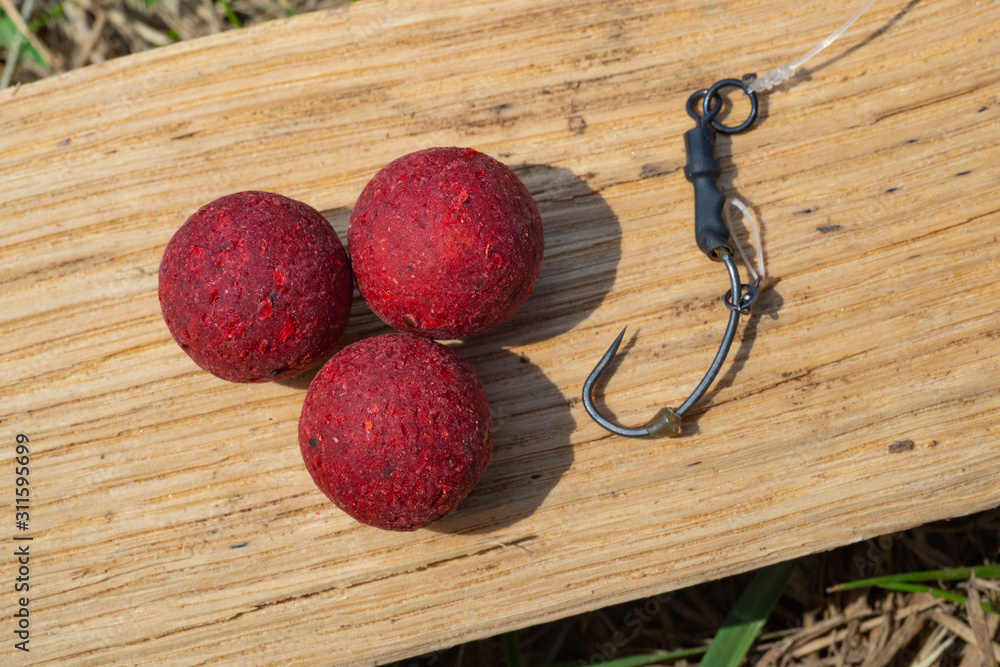 Robin Red Boilies with fishing hook. Fishing rig for carps, boilie