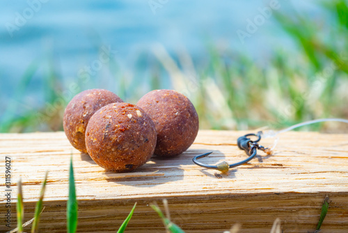 Complex-T Boilies with fishing hook. Fishing rig for carps, boilie rig, near the lake on a piece of wood