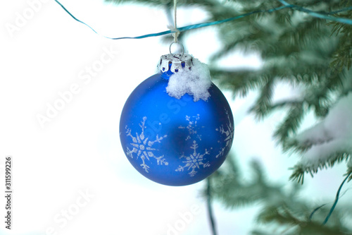 Blue ball on a branch of spruce outdoors. Sustainable Christmas