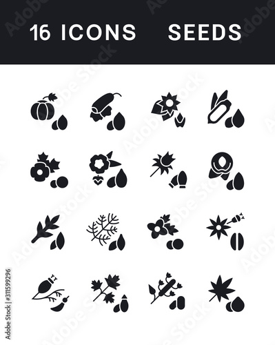 Set of Simple Icons of Seeds © M.Style