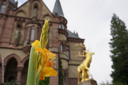blossom and the castle