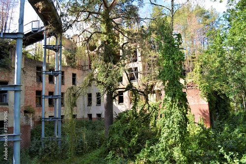 Verwunschen - Ruinen in Beelitz Heilstätten © Anna Reich