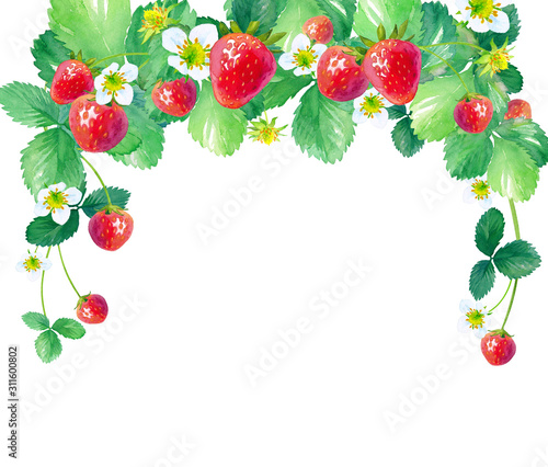 イチゴのアーチ型フレーム 水彩イラスト Stock Illustration Adobe Stock イチゴのアーチ型フレーム 水彩イラスト Stock Illustration Adobe Stock