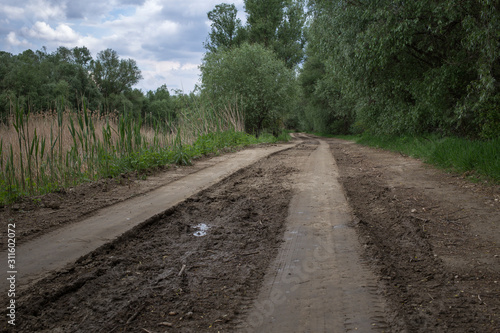 Dirt road leaving into the distance.