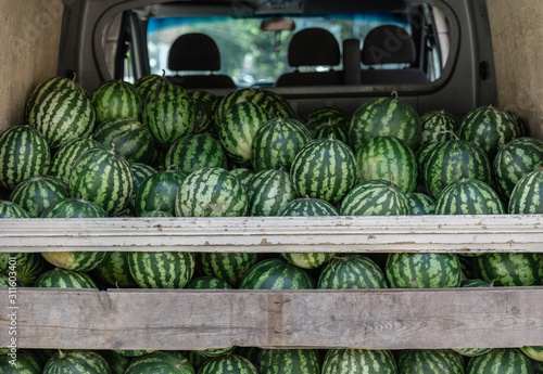 Watermelons in the back of a truck