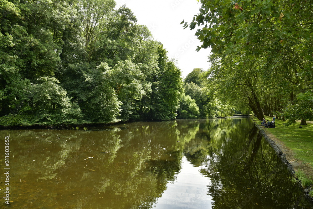 L'étang ombragé sous les arbres majestueux au domaine de la roseraie Coloma à St-Pieter-Leeuw