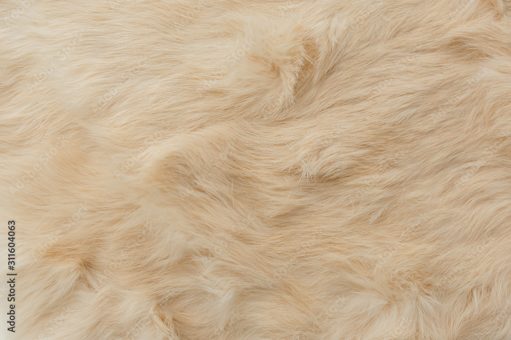brown rabbit fur Texture, animal skin background brown rabbit fur Texture, animal skin background