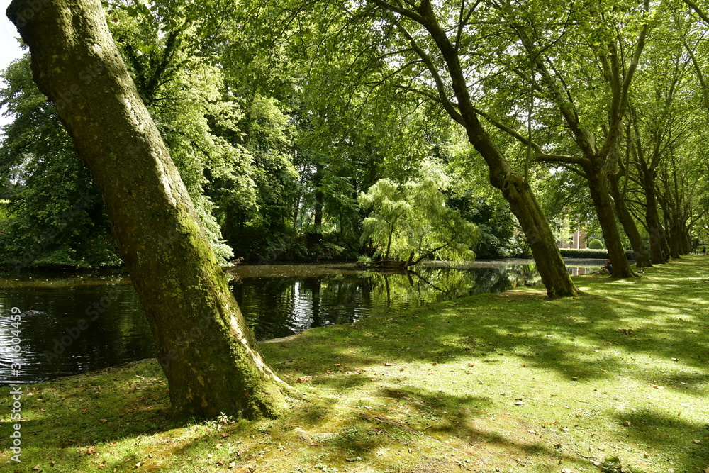L'étang ombragé sous les arbres majestueux au domaine de la roseraie Coloma à St-Pieter-Leeuw L'étang ombragé sous les arbres majestueux au domaine de la roseraie Coloma à St-Pieter-Leeuw