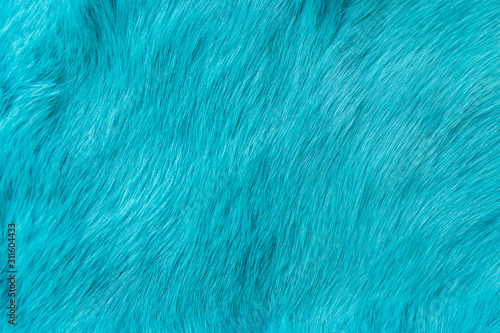 blue rabbit fur Texture, animal skin background