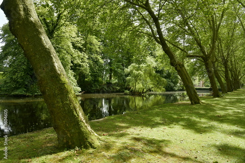 L'étang ombragé sous les arbres majestueux au domaine de la roseraie Coloma à St-Pieter-Leeuw © Photocolorsteph