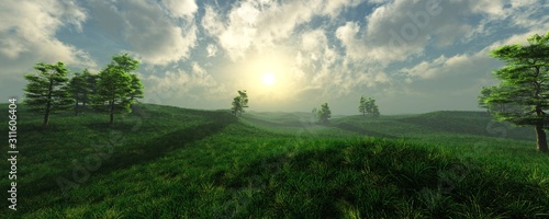 Beautiful green grass meadow in the fog at sunrise, 3D rendering. © ustas