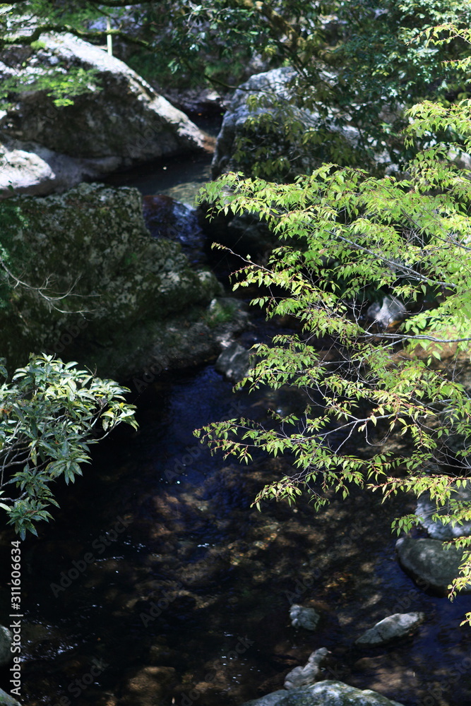 渓流 渓流